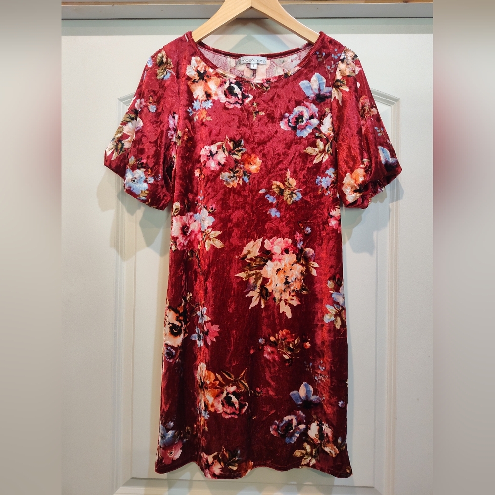Moa Moa Vintage 90s Burgundy Floral Velvet Burnout Mini Dress